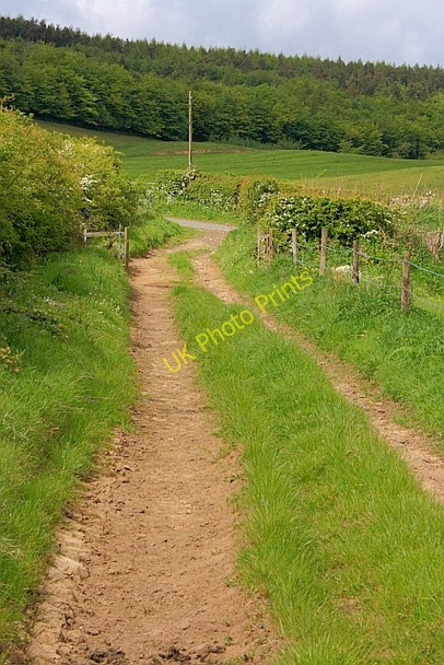Photo 6"x4" Public Bridleway Harwood Dale c2011