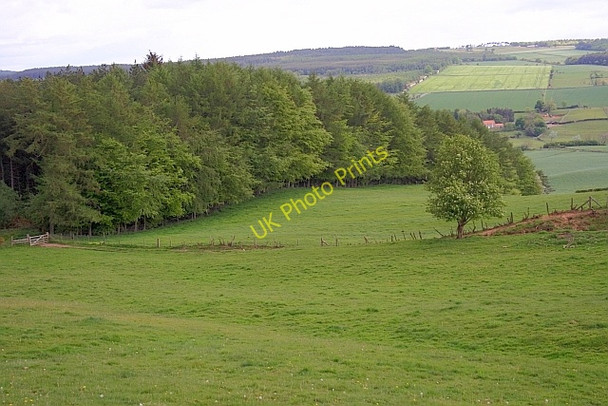 Photo 6"x4" Fields Below Surgate Brow Harwood Dale c2011