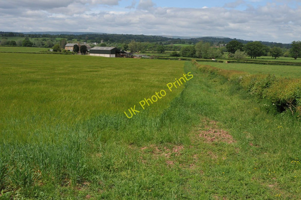 Photo 6"x4" Llandenny Court Llandenny c2011