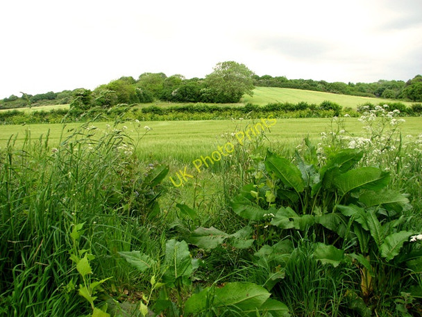Photo 6"x4" Fields below Muckleburgh Hill, Kelling Kelling c2011