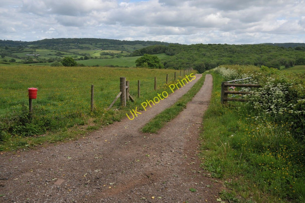Photo 6"x4" Field access, Wolvesnewton Wolvesnewton c2011