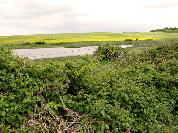 Photo 6"x4" View across Kelling water meadow Kelling c2011