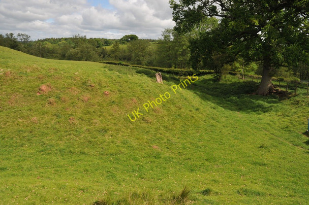 Photo 6"x4" Site of Dingestow Castle Dingestow c2011