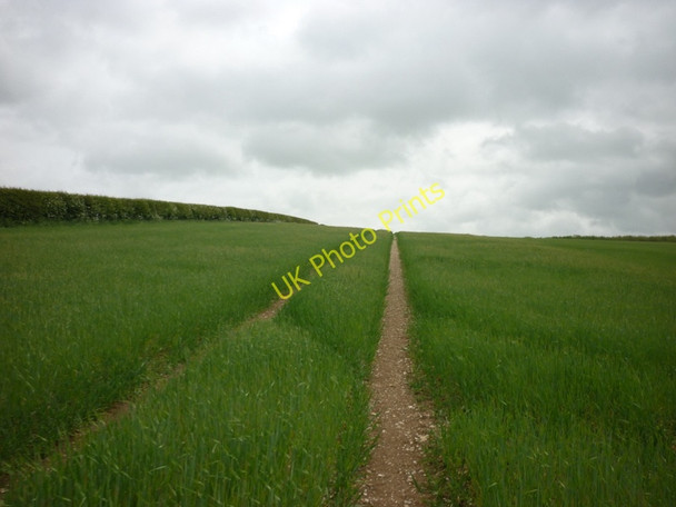 Photo 6"x4" Walking towards Towthorpe Plantation Towthorpe\/SE9062 c2011