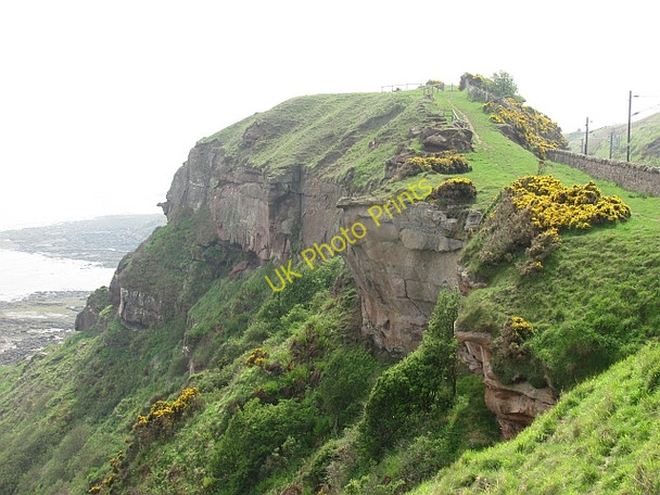 Photo 6"x4" Berwickshire Coast and path Marshall Meadows c2011