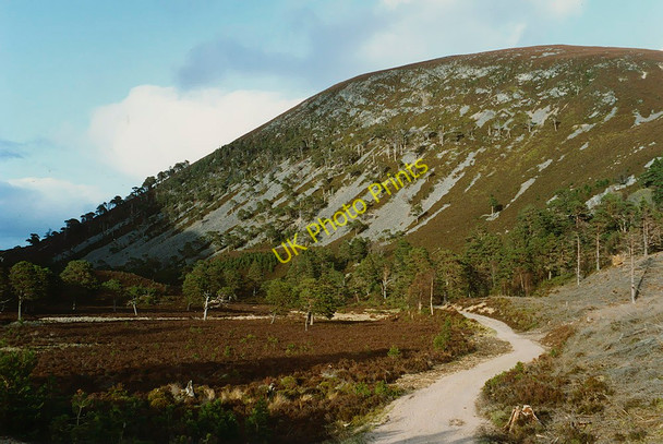 Photo 6"x4" The track to Ryvoan Allt na F\u00e8ith Duibhe c1993