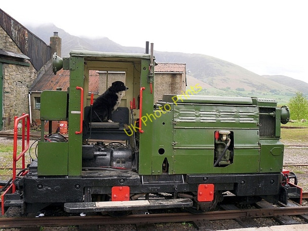 Photo 6"x4" Dog driving a train? Birkett Mire c2011