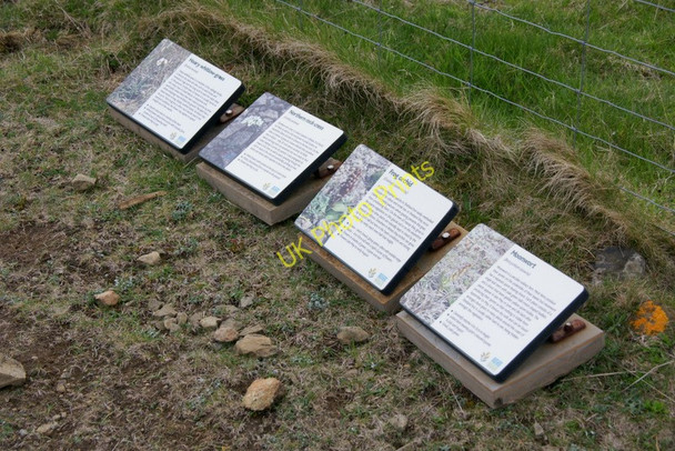 Photo 6"x4" Markers awaiting deployment, Keen of Hamar NNR Baltasound c2011