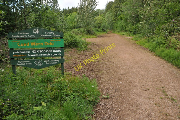 Photo 6"x4" Entrance to Coed Wern-ddu Began c2011