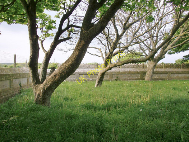 Photo 6"x4" The churchyard at St Peter's, Grove, Portland Fortuneswell c2011