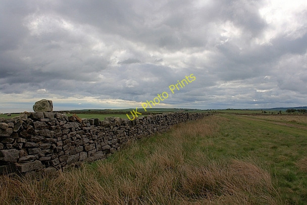 Photo 6"x4" Wall, Newton Bank Ellerby c2011