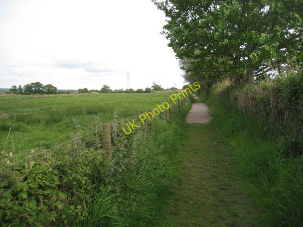 Photo 6"x4" The footpath to the Turf Exminster c2011