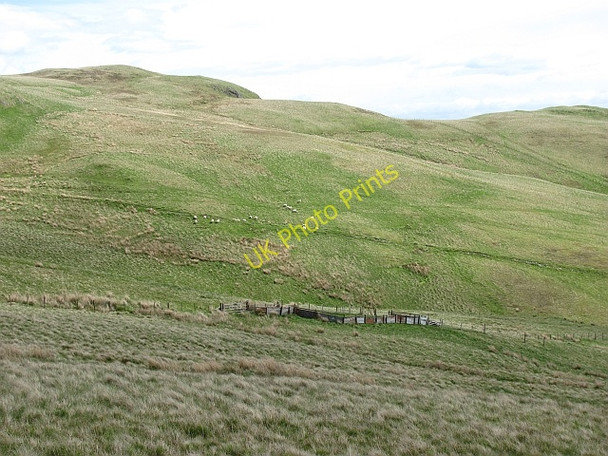 Photo 6"x4" Myreton Hill Menstrie c2011