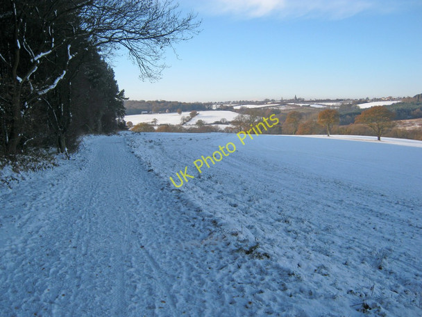 Photo 6"x4" Track near Morning Springs Wood Greasley\/SK4947 c2010