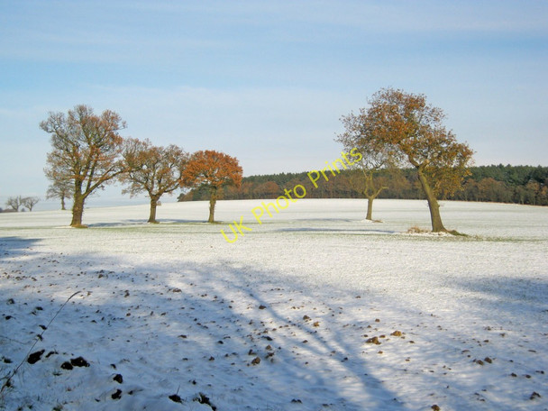 Photo 6"x4" Annesley Park in the snow Newstead\/SK5152 c2010