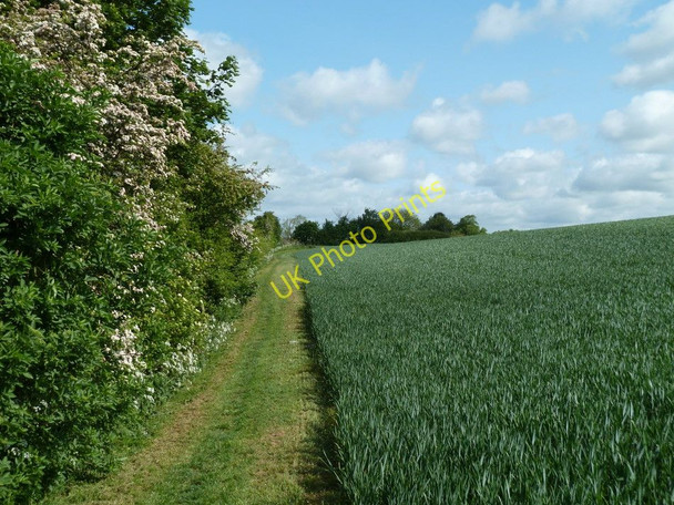 Photo 6"x4" Field edge footpath towards Palterton Glapwell c2011