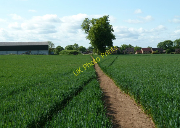 Photo 6"x4" Footpath to Glapwell Glapwell c2011