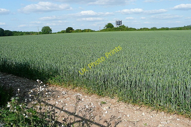 Photo 6"x4" West of Popham airfield Popham\/SU5543 c2011