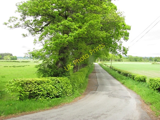Photo 6"x4" Minor road by Gargunnock Gargunnock c2011