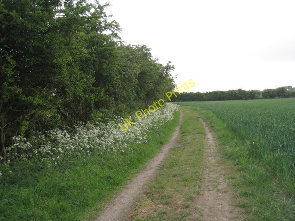 Photo 6"x4" On the Viking Way Elsham c2011