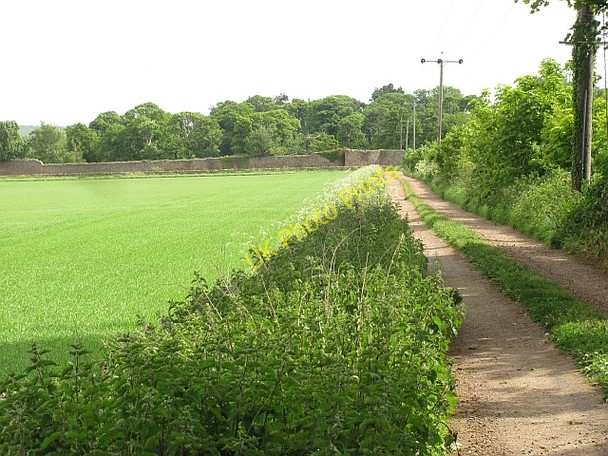 Photo 6"x4" Road to Seton Mill - core path 142 Cockenzie and Port Seton c2011