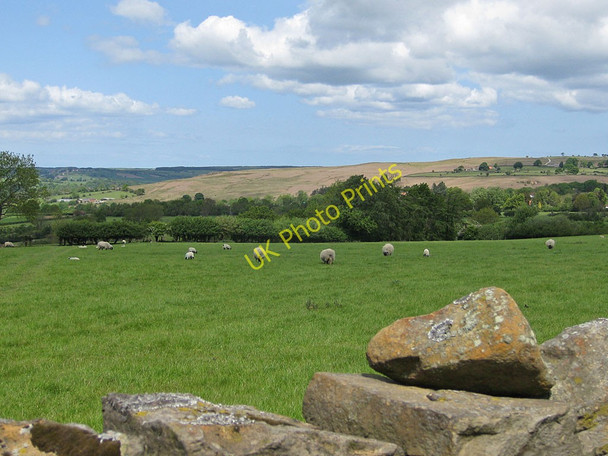 Photo 6"x4" Goathland pastures Goathland c2011