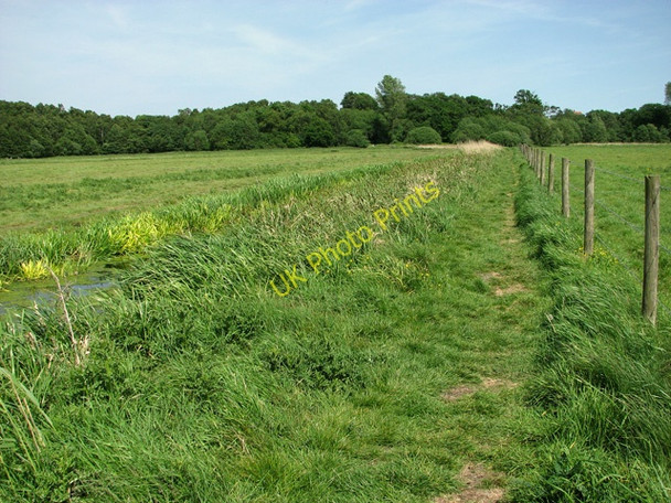 Photo 6"x4" Path from Herringfleet Smock drainage mill to Herringfleet Hills Herringfleet c2011