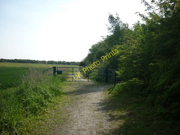 Photo 6"x4" The way to Thorne Moor Moorends c2011