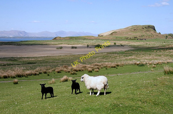 Photo 6"x4" Farmland at Ardentrive on Kerrera Pulpit Hill\/NM8529 c2011