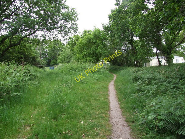 Photo 6"x4" Path next to Oakdene Forest Park, St Leonards Trickett's Cross c2011