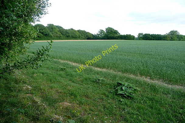 Photo 6"x4" Farmland at Bramdown Copse Steventon\/SU5447 c2011
