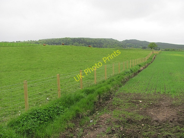 Photo 6"x4" Farmland near Sauchie Craigend\/NS7887 c2011