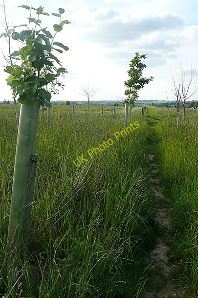 Photo 6"x4" Footpath towards Overton Overton\/SU5149 c2011