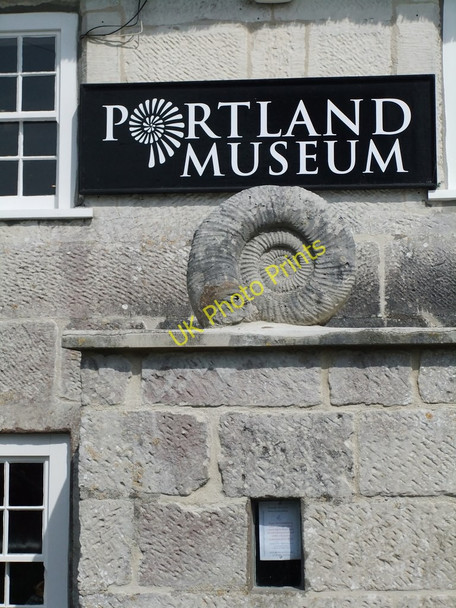 Photo 6"x4" Fossil ammonite, Portland Museum Fortuneswell c2011