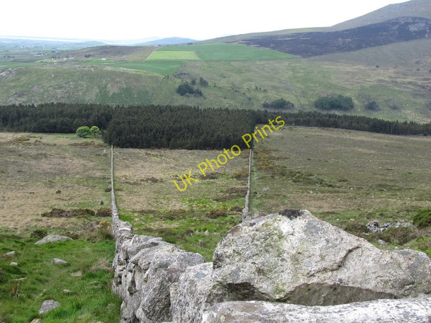 Photo 6"x4" Triangular field extending down to Annalong Wood Annalong c2011
