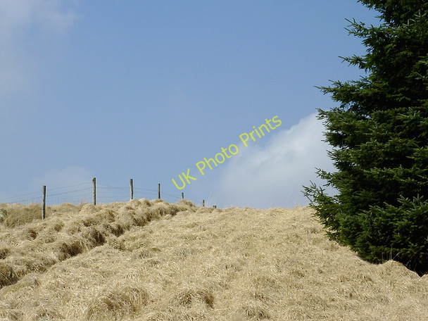 Photo 6"x4" Forest edge north-west of Soar-y-Mynydd, Ceredigion Gouallt c2011