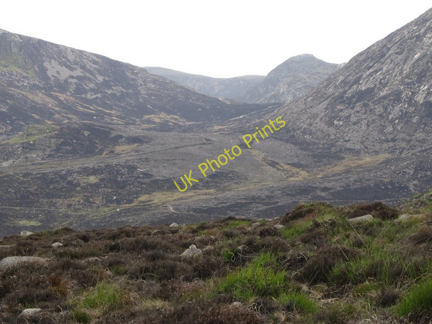 Photo 6"x4" The fire devastated Annalong Valley from the Long Seefin Ridge Annalong c2011