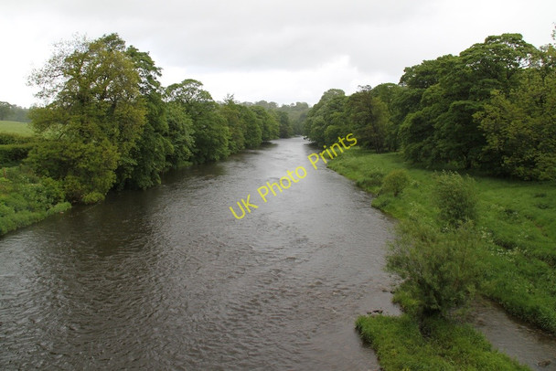 Photo 6"x4" River Ribble Great Mitton c2011