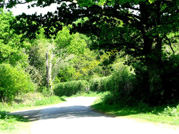 Photo 6"x4" Spithandle Lane, East of Wiston, West Sussex Hole Street c2011