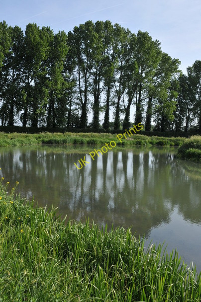 Photo 6"x4" Trees and the River Thames Lechlade on Thames c2011