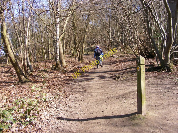Photo 6"x4" Way Marker Uffington\/SJ5213 c2011