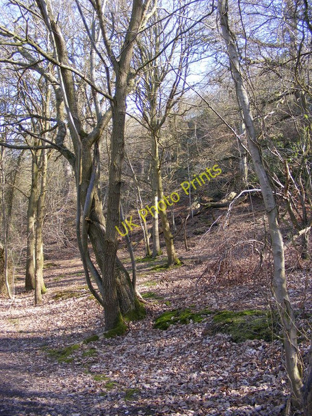 Photo 6"x4" Shropshire Way View Uffington\/SJ5213 c2011