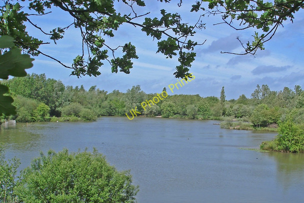 Photo 6"x4" Longton Brickcroft Local Nature Reserve Walmer Bridge c2011