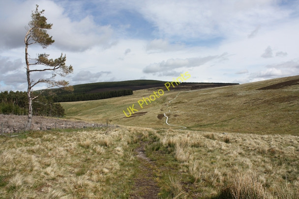Photo 6"x4" The Speyside Way near Croughly Tomintoul\/NJ1618 c2011