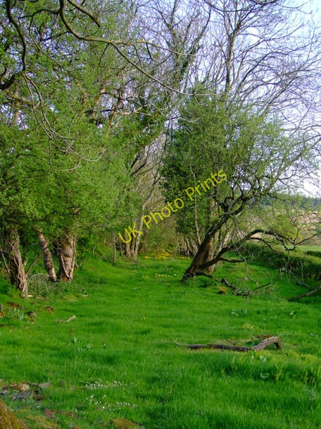 Photo 6"x4" Former Shielhill Glen railway Inverkip c2011