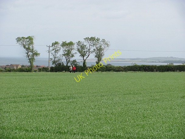 Photo 6"x4" Seton West Mains - core path no. 279 Cockenzie and Port Seton c2011