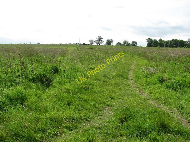 Photo 6"x4" Unused field, Seton Cockenzie and Port Seton c2011