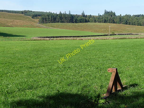 Photo 6"x4" Farmland near Bellingham (2) Bellingham\/NY8383 c2010