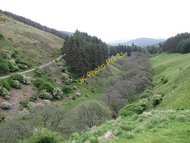 Photo 6"x4" Gate Hope Holylee c2011