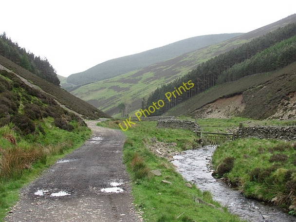 Photo 6"x4" Gate Hope Walkerburn c2011